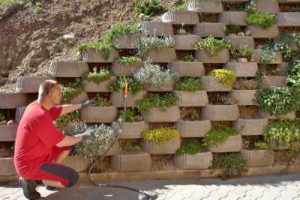 Vertical Garden in Retaining Wall