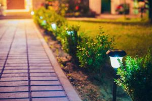 Paved path with solar landscape path lighting alongside