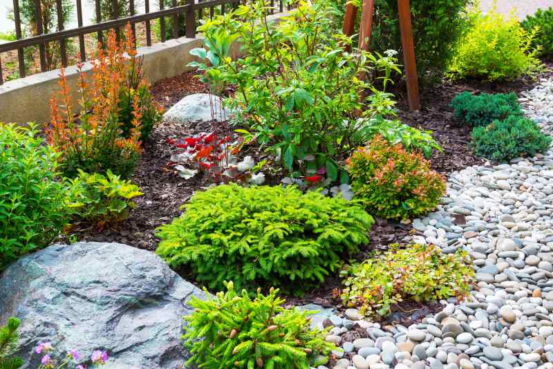 Beautiful natural landscaping rocks and flower beds in summer. Scenic view of landscaped part with plants and stones in yard or backyard of residential house.