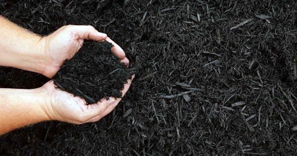 Get top-quality mulch on sale all month long!