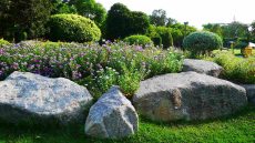 Picture of a beautifully landscaped yard with four large boulders incorporated.