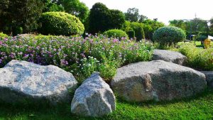 Picture of a beautifully landscaped yard with four large boulders incorporated.