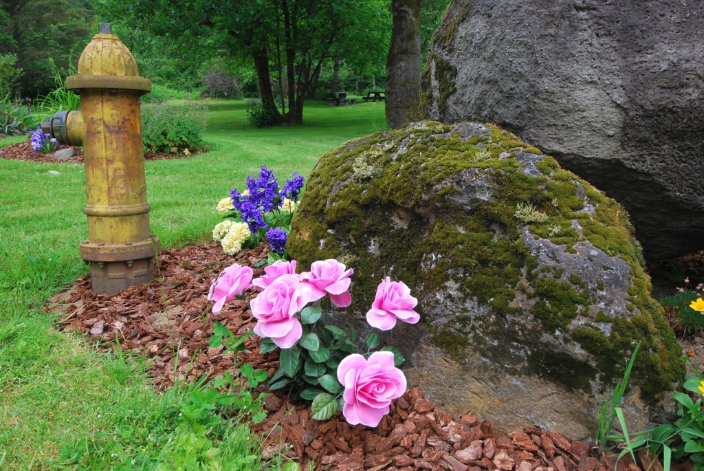 Photograph of a beautiful boulder surrounded by luscious pink flowers and an old-fashioned fire hydrant.