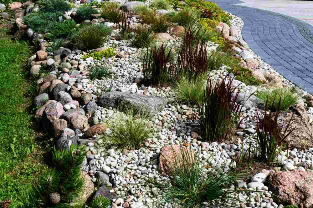 Natural rocks decorative landscaping with small plants and green grass.