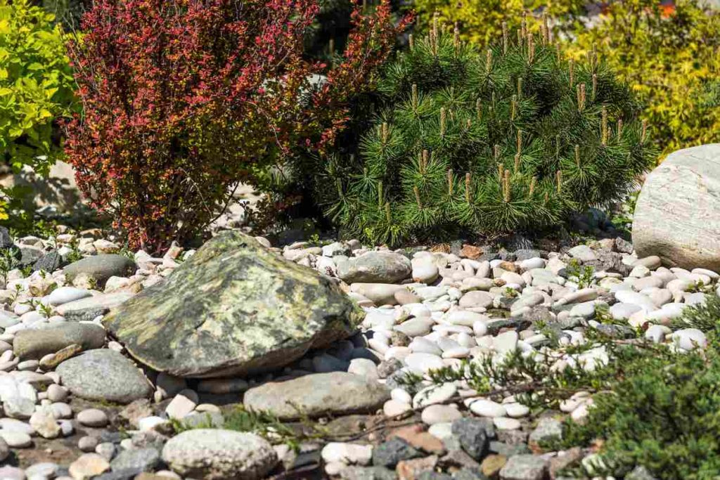 Stunning river rock landscaping featuring a variety of rock sizes and red a green plants.