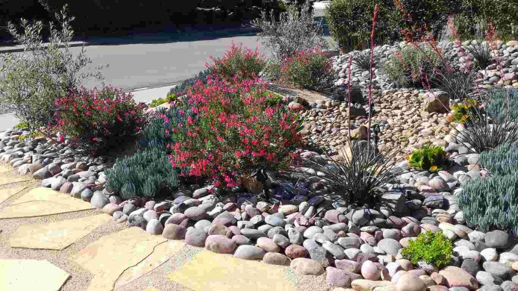 Front yard river rock landscaping with stone path and plants sprinkled throughout the bed.