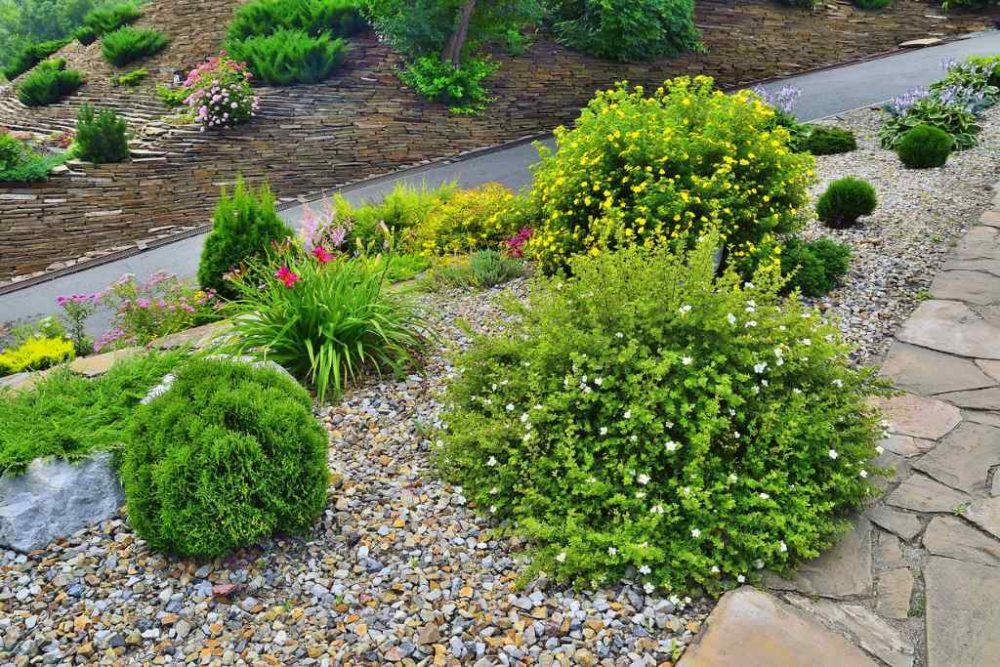 A vibrant garden path lined with colored landscaping rocks with lush shrubs and greenery.
