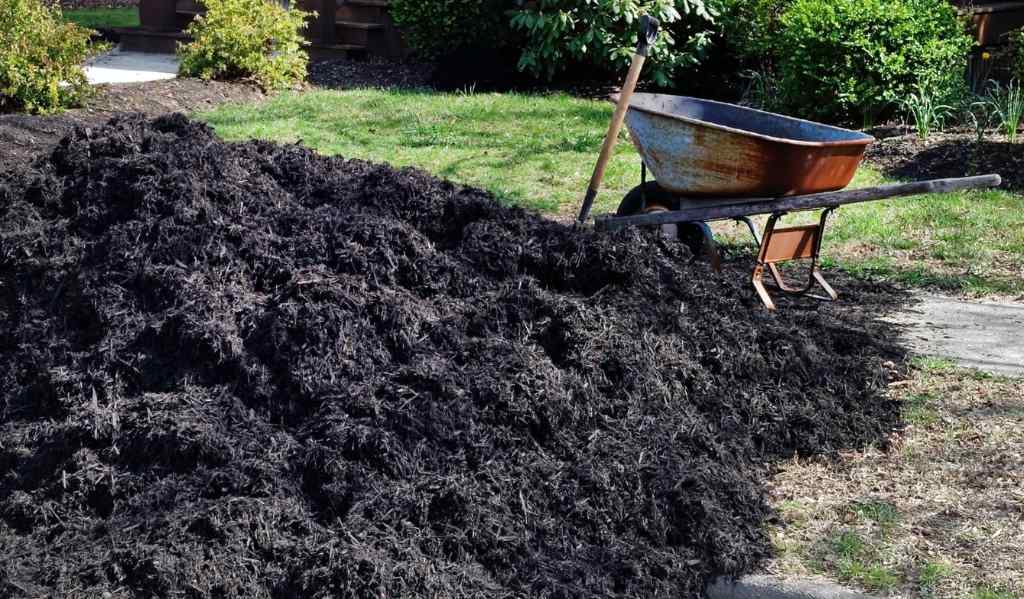 Heap of black gardening mulch delivered to a home with weathered wheelbarrow next to it.