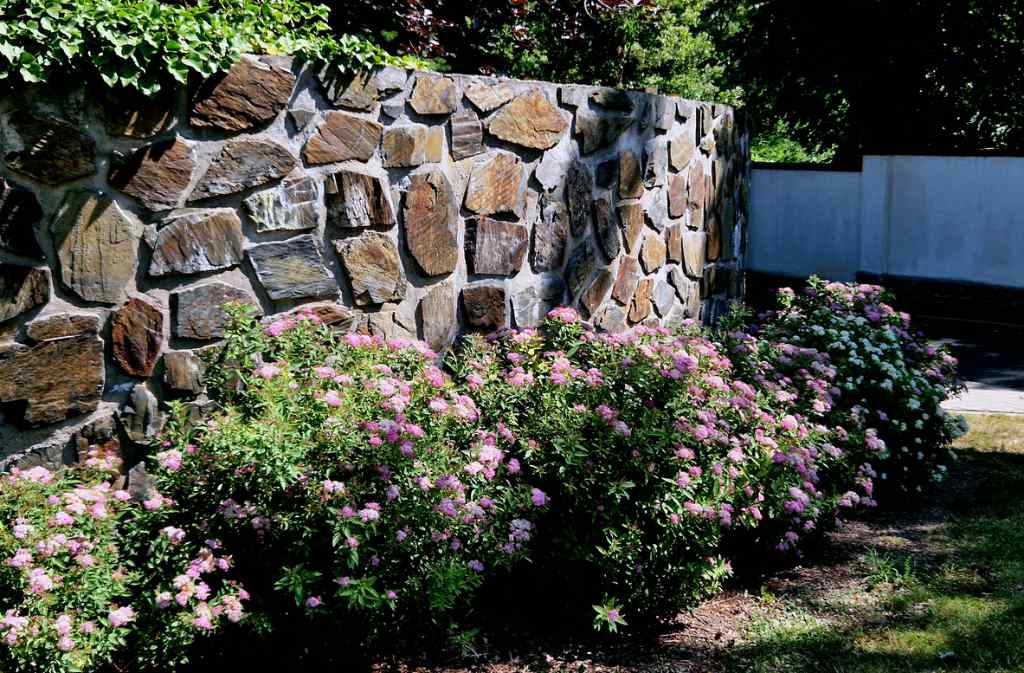 Old stone garden wall reconstructed with natural fieldstone