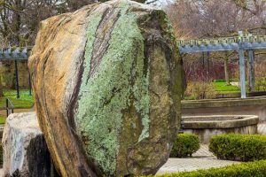A large natural stone boulder with lichen in a garden.