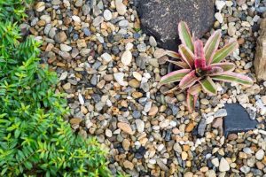 Colorful pea gravel used as decorative ground cover in a flower bed with greenery.