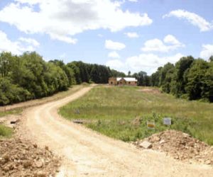 how-to-plant-grass-seed