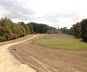 planting-grass-seed-45289